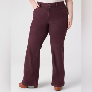Lane Bryant Signature Fit Color Maroon Flare Jeans
